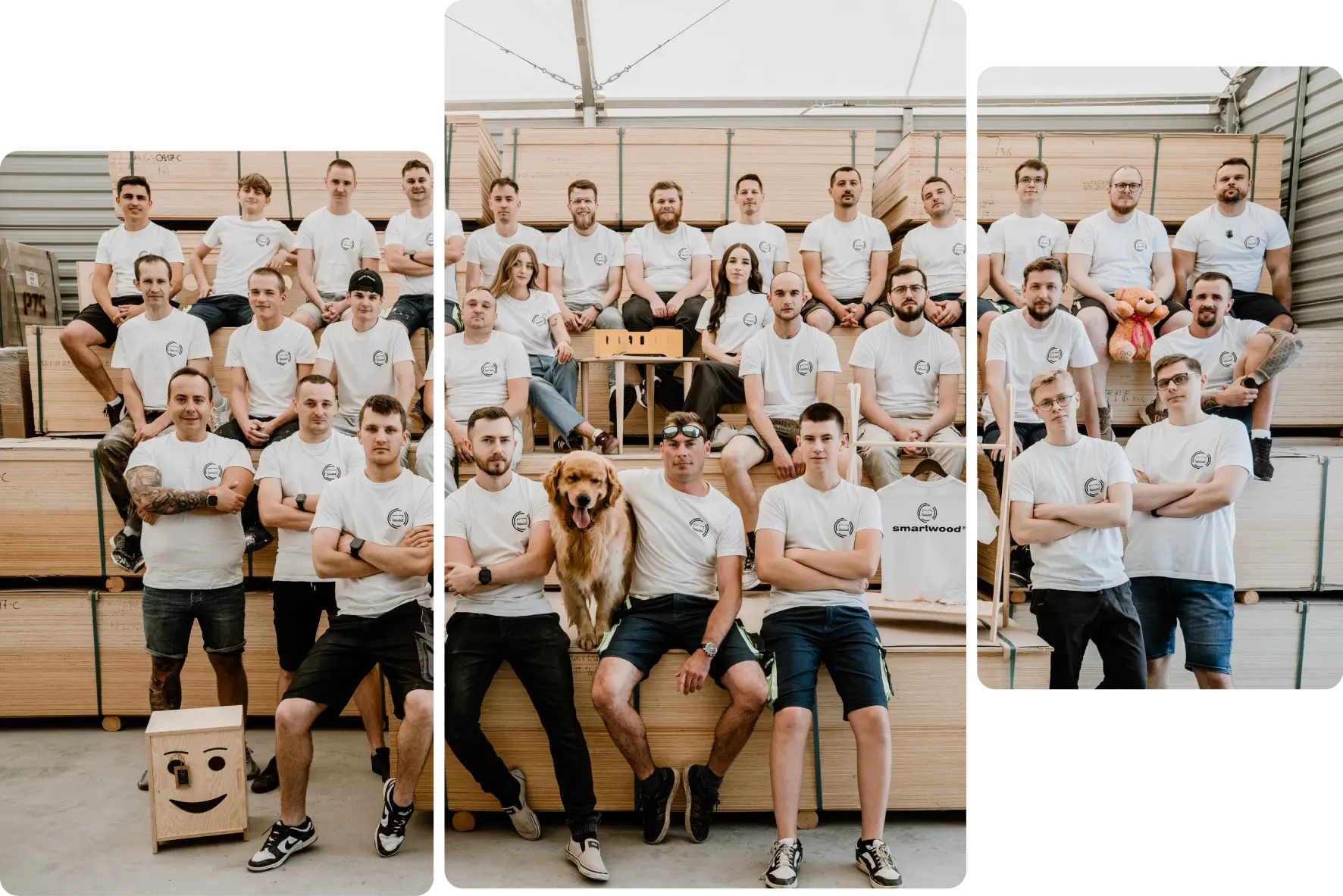 Zespół Smartwood
